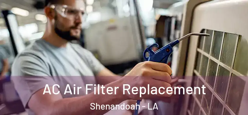  AC Air Filter Replacement Shenandoah - LA