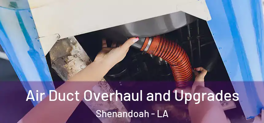  Air Duct Overhaul and Upgrades Shenandoah - LA