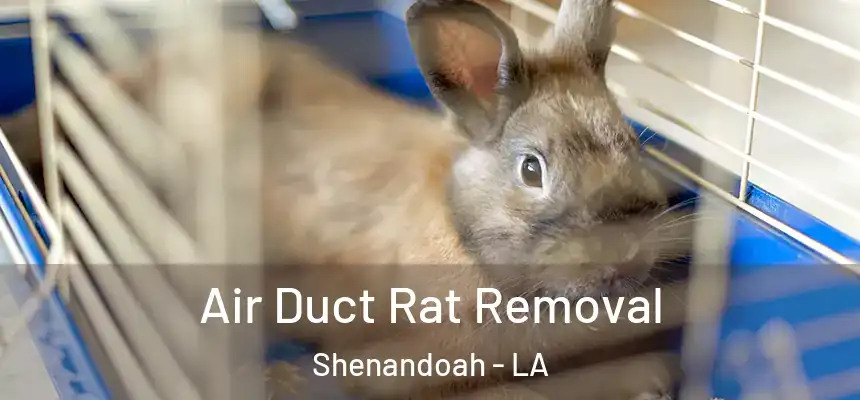  Air Duct Rat Removal Shenandoah - LA
