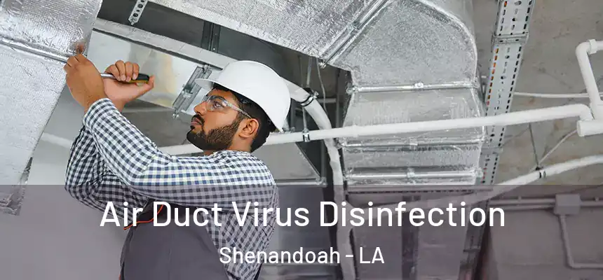  Air Duct Virus Disinfection Shenandoah - LA