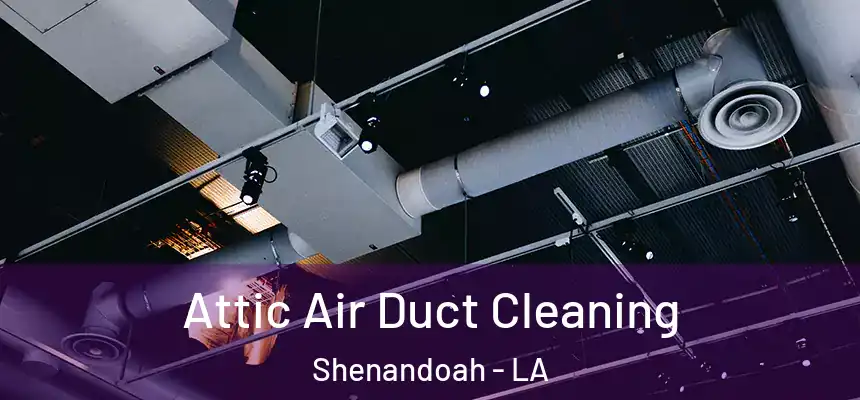  Attic Air Duct Cleaning Shenandoah - LA