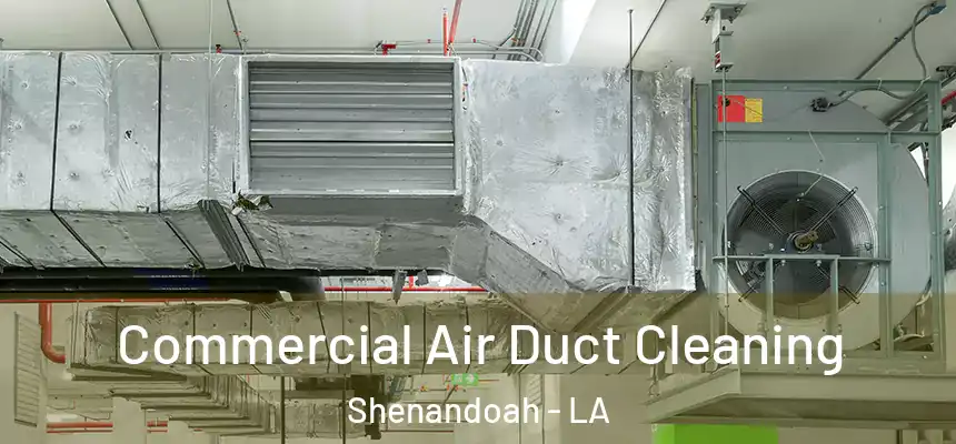  Commercial Air Duct Cleaning Shenandoah - LA