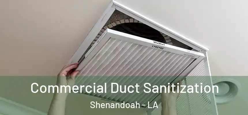  Commercial Duct Sanitization Shenandoah - LA