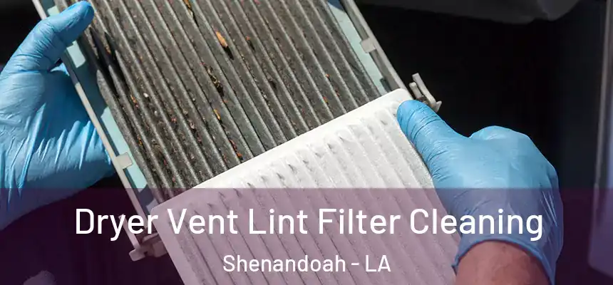  Dryer Vent Lint Filter Cleaning Shenandoah - LA