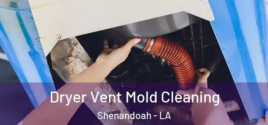  Dryer Vent Mold Cleaning Shenandoah - LA