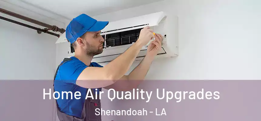  Home Air Quality Upgrades Shenandoah - LA