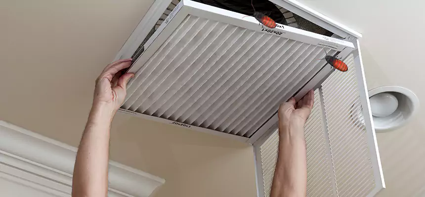 Preventive Cockroach-Proofing for Ducts in Shenandoah