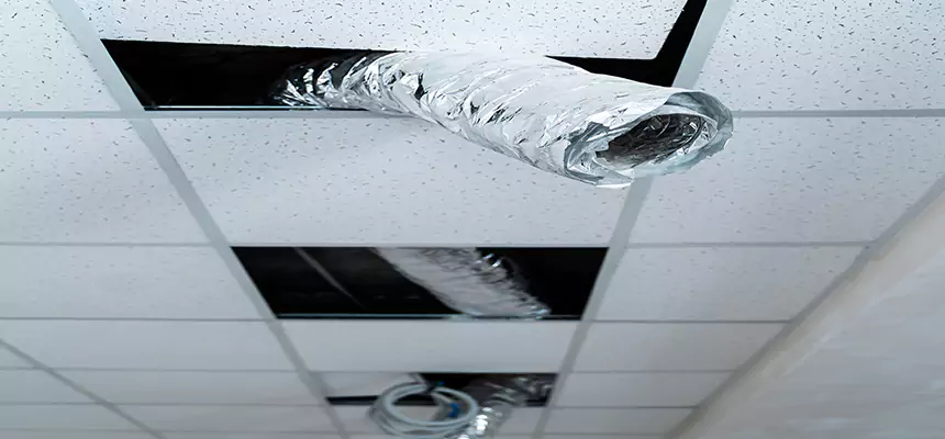 Our Air Duct Pet Hair Removal Services in Shenandoah, LA