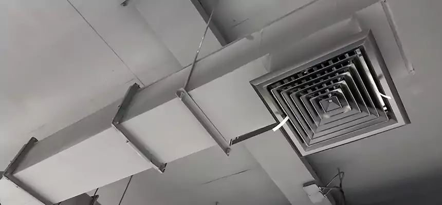 Our Rodent Droppings In Vents Services in Shenandoah, LA