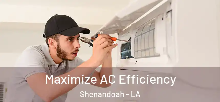  Maximize AC Efficiency Shenandoah - LA