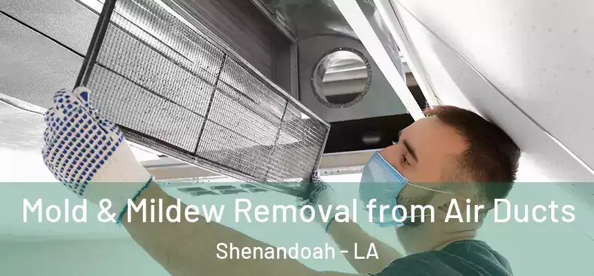  Mold & Mildew Removal from Air Ducts Shenandoah - LA
