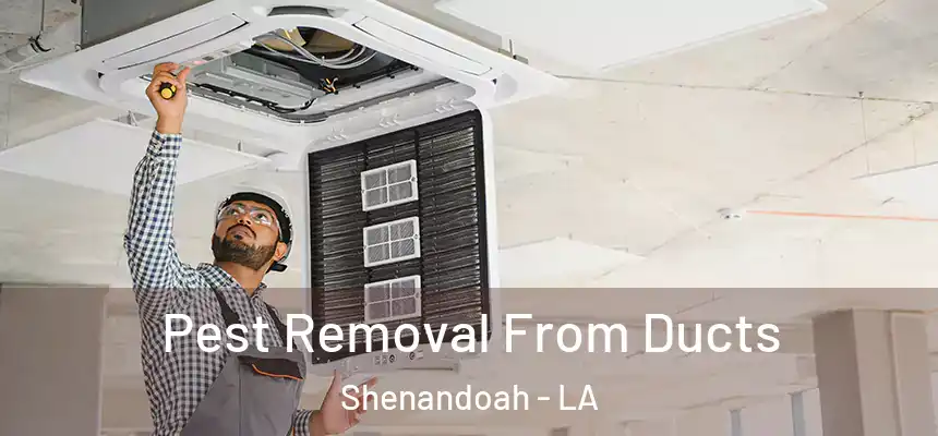  Pest Removal From Ducts Shenandoah - LA