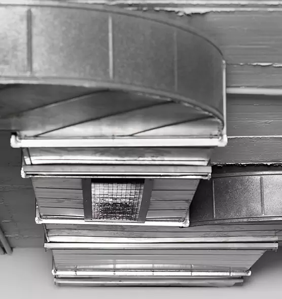 Professional Air Duct Pest Removal in Shenandoah, LA