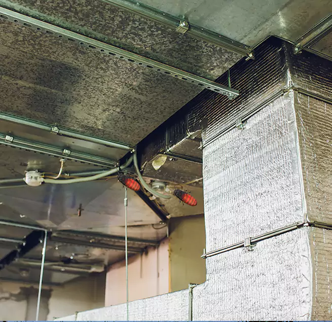 Why Homeowners & Businesses Trust Us in Shenandoah, LA?