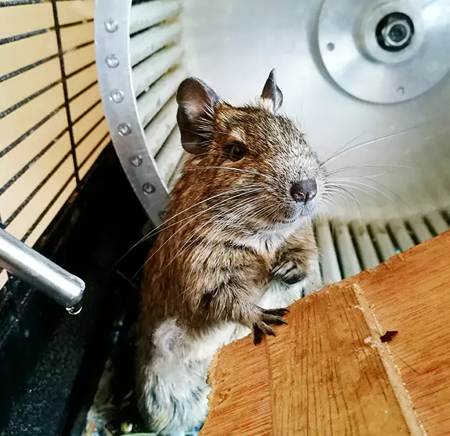 Why Homeowners & Businesses Trust Us Shenandoah, LA?