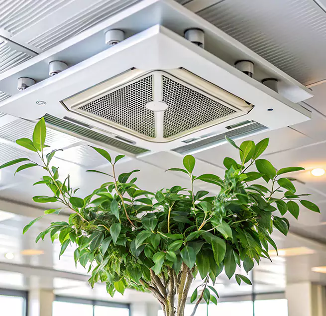 Why Homeowners & Businesses Trust Us in Shenandoah, LA