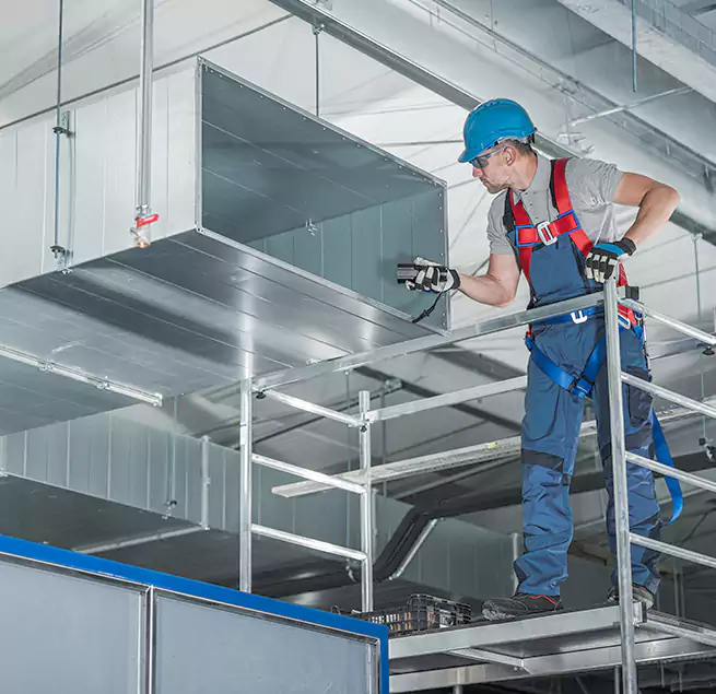 Why Homeowners Businesses Trust Us in Shenandoah, LA