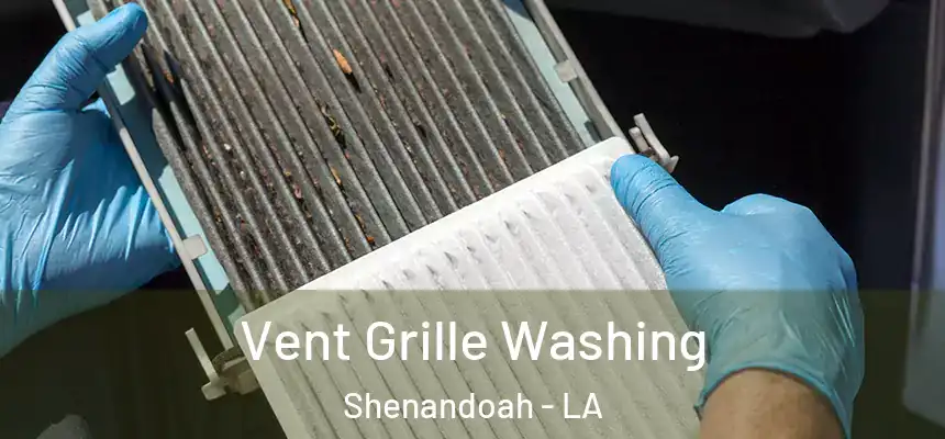  Vent Grille Washing Shenandoah - LA