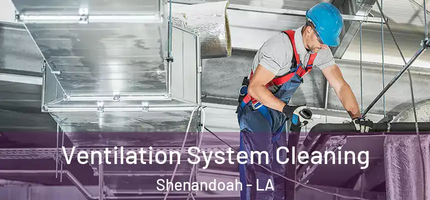  Ventilation System Cleaning Shenandoah - LA